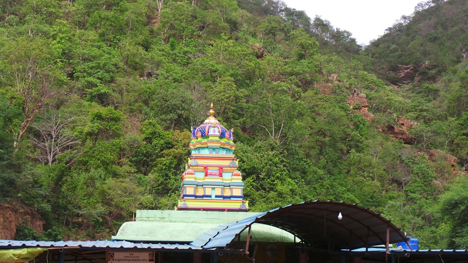 70786623_10211631535142352_8322559490410938368_n