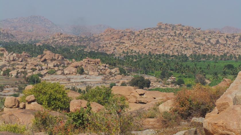 103778200_10213493491090087_7313083560821614280_o