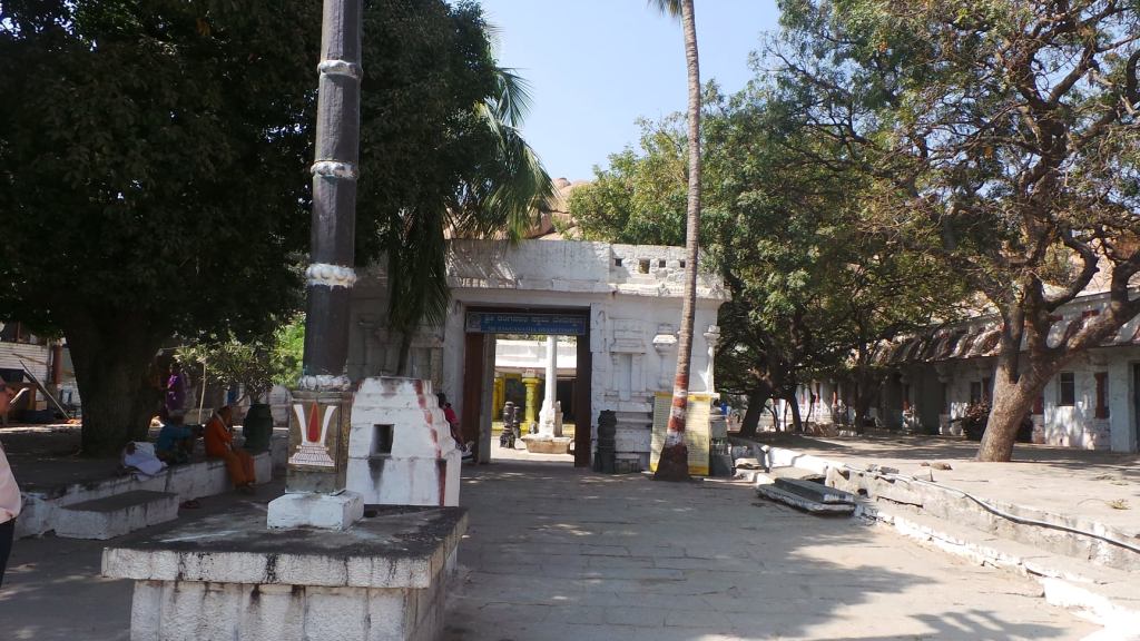 103787068_10213493483369894_7860938625411955389_o