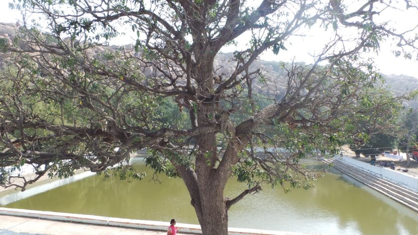 104403896_10213493495810205_567401639966254515_o-2