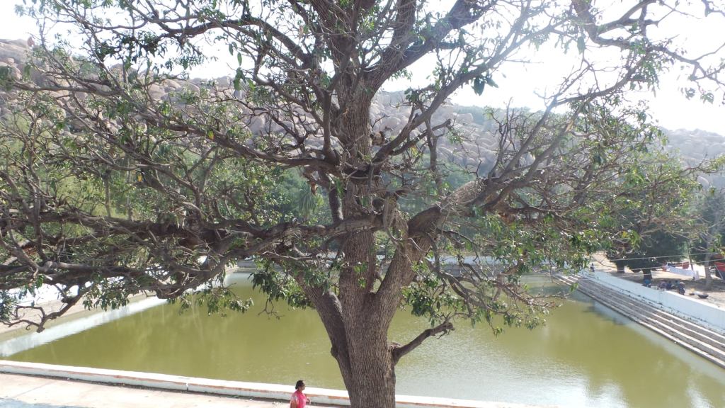 104403896_10213493495810205_567401639966254515_o-2