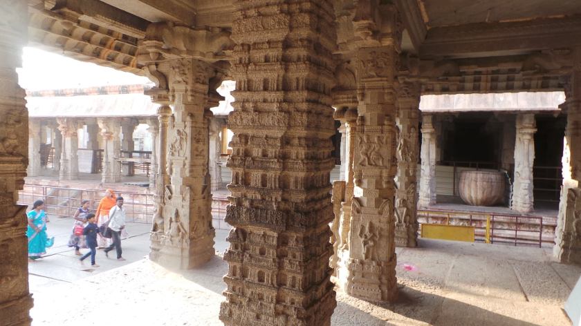 104429698_10213513889800042_8430297882486560970_o