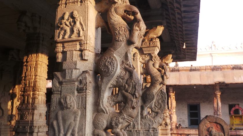 104687013_10213513893200127_2392545825047711461_o