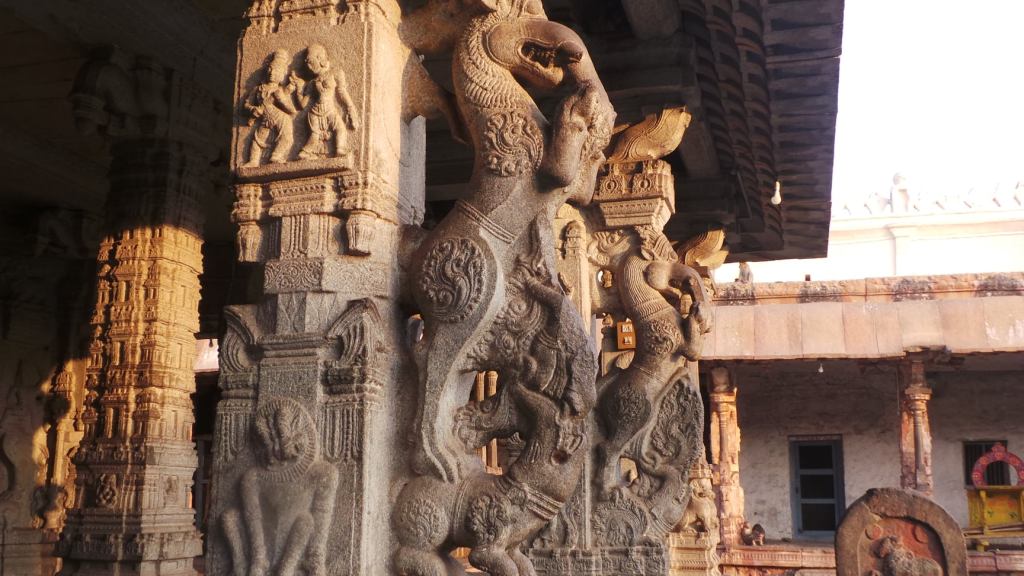 104687013_10213513893200127_2392545825047711461_o