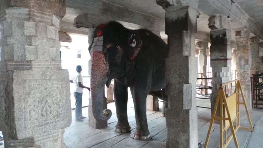 104765985_10213513579752291_6941270132917166514_o