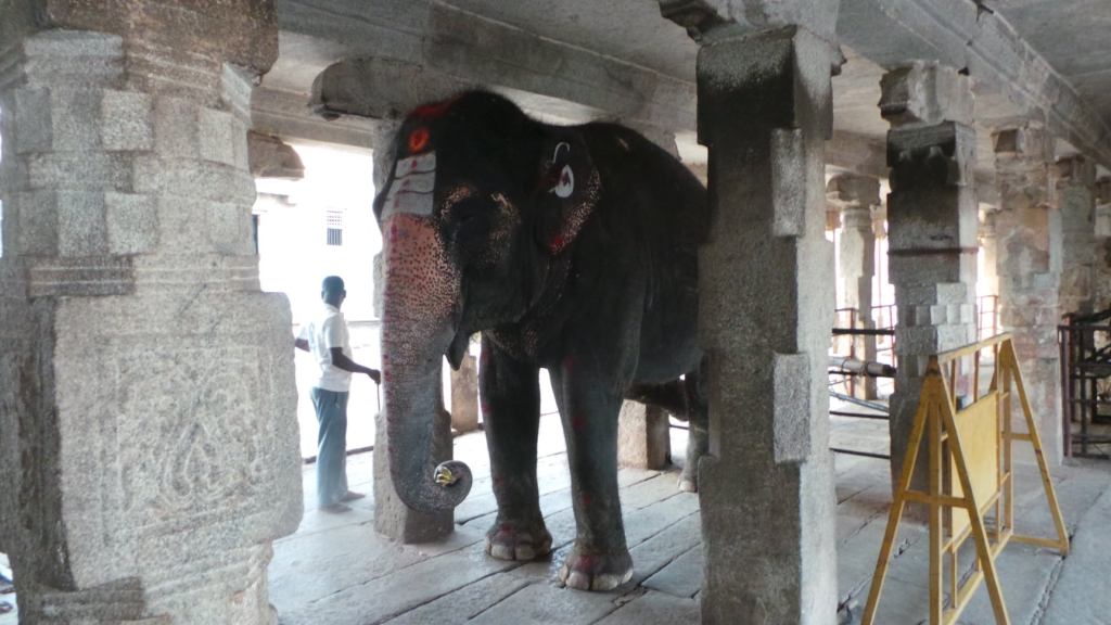 104765985_10213513579752291_6941270132917166514_o