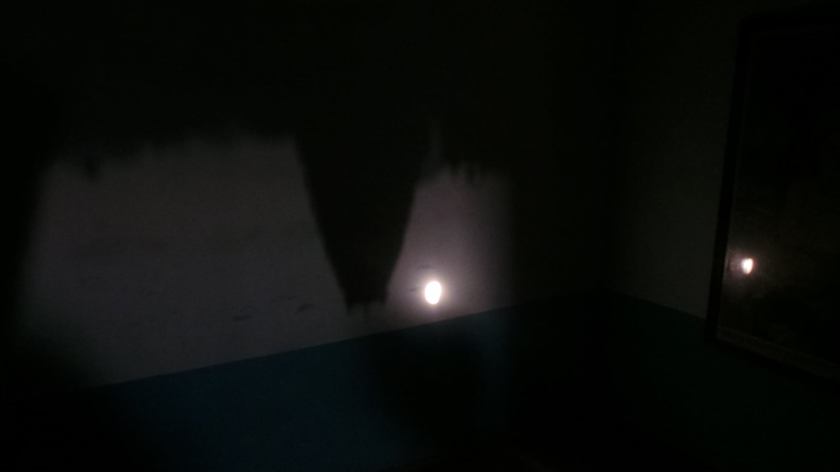 106038407_10213513578672264_5609151588906725907_o