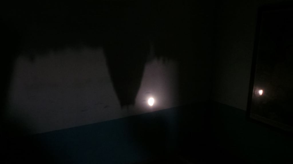 106038407_10213513578672264_5609151588906725907_o