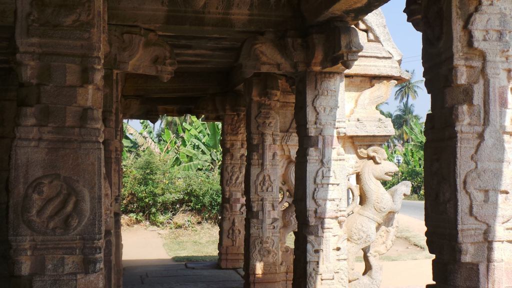 106919152_10213588520345759_2800600109408332526_o